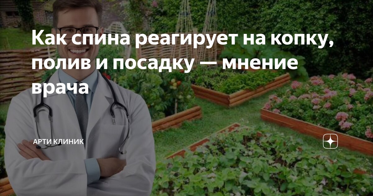 Как спина реагирует на копку, полив и посадку — мнение врача