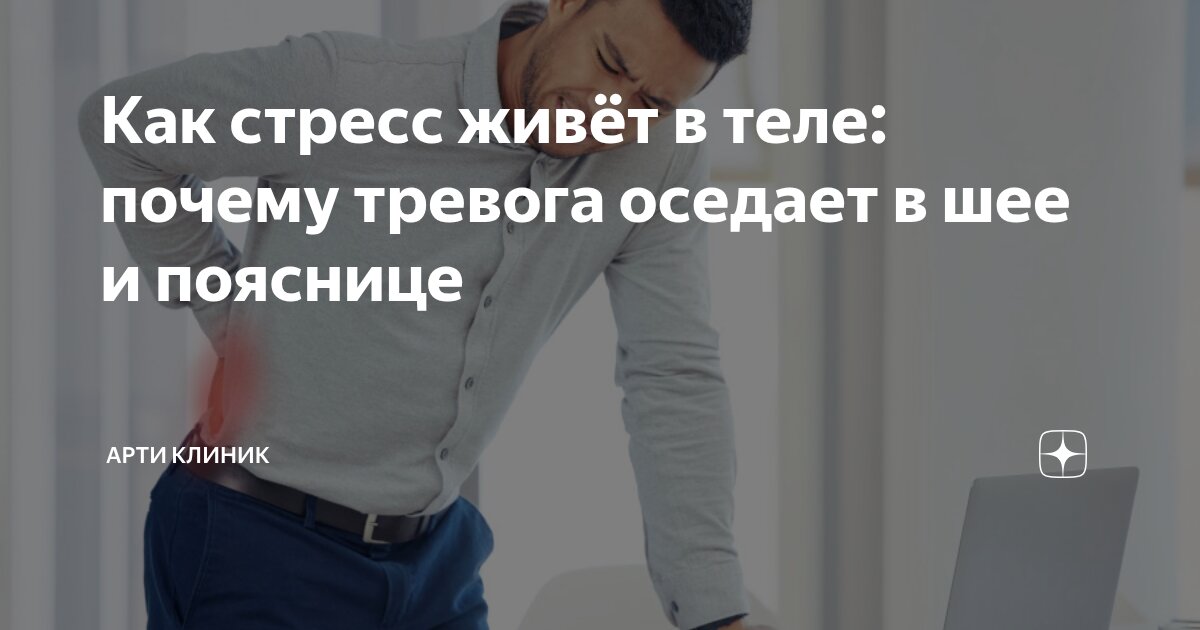 Как стресс живёт в теле: почему тревога оседает в шее и пояснице