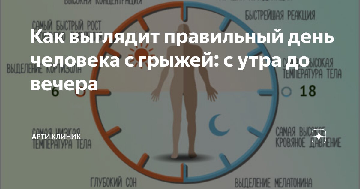 Как выглядит правильный день человека с грыжей: с утра до вечера