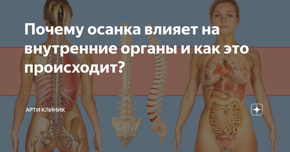 Почему осанка влияет на внутренние органы и как это происходит?