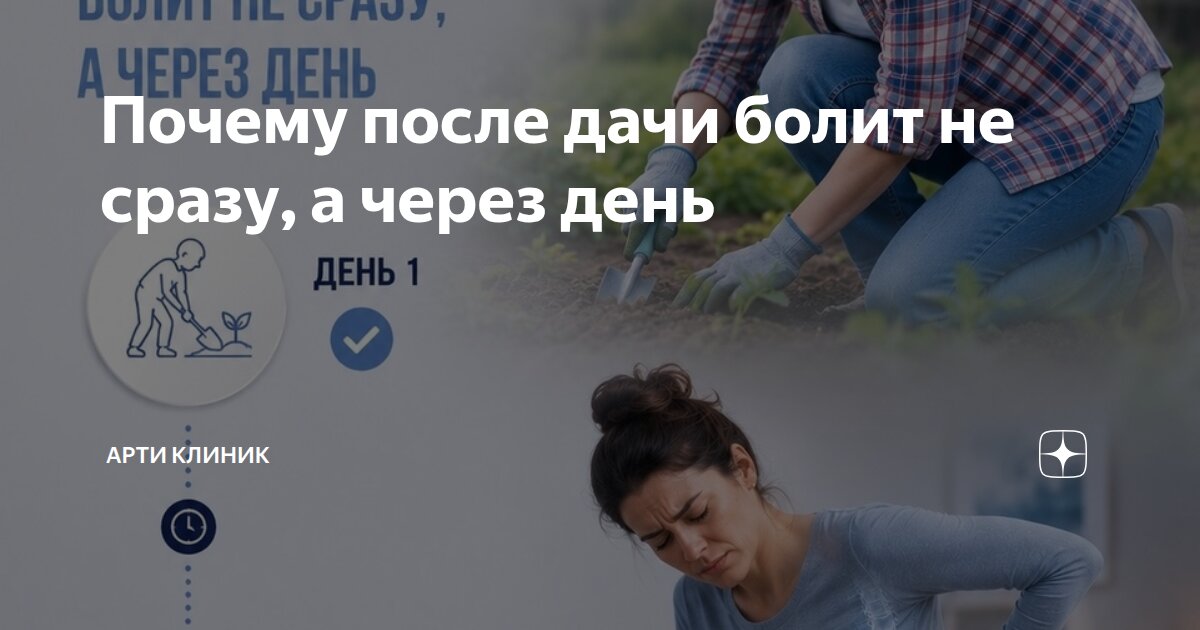 Почему после дачи болит не сразу, а через день