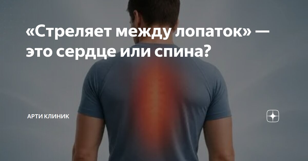 «Стреляет между лопаток» — это сердце или спина?